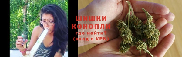 PSILOCYBIN Волоколамск