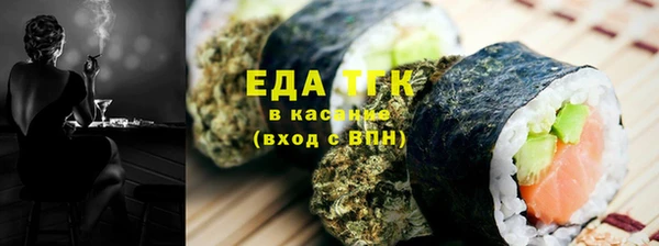 индика Верхний Тагил