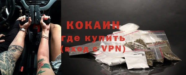 индика Верхний Тагил