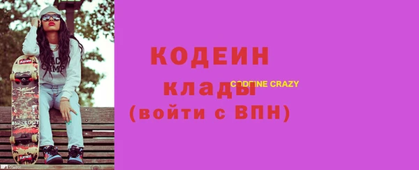 индика Верхний Тагил