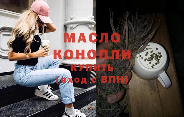 индика Верхний Тагил