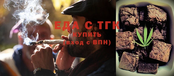 индика Верхний Тагил