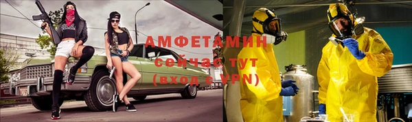 индика Верхний Тагил